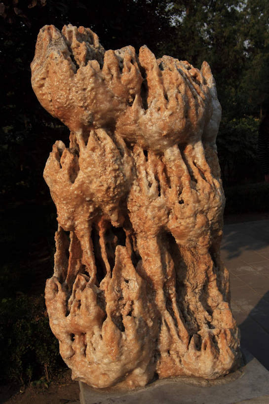 无人,横图,室外,白天,正面,旅游,度假,石头,植物,一块,竖立,直立,阴影,光线,石子,影子,地面,娱乐,石柱,树,树木,蓝色,绿色,蓝天,天空,阳光,自然,天,享受,休闲,放松,生长,晴朗,成长,支撑,花岗岩,沟壑,底座,万里无云,挺立,石块,岩石,晴空,晴空万里,彩图,bjzqp1