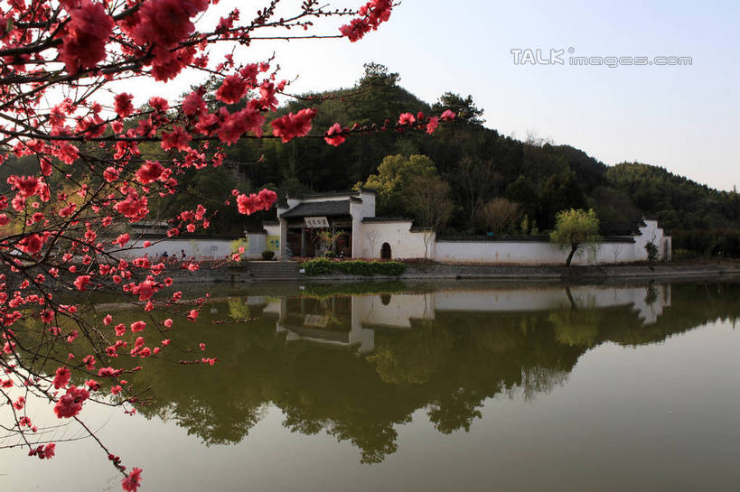 无人,家,横图,室外,白天,正面,旅游,度假,黄山,河流,名胜古迹,山,水,植物,标志建筑,地标,建筑,中国,亚洲,阴影,遗迹,盛开,光线,影子,房屋,墙,屋子,河水,山峰,水流,地面,山峦,花蕾,古迹,文化,文物,娱乐,建设,古建筑,楼房,民居,民宅,墙壁,墙面,住宅,花,花瓣,花朵,鲜花,树,树木,红色,蓝色,绿色,倒影,蓝天,天空,阳光,自然,天,花苞,花蕊,享受,休闲,旅游胜地,放松,生长,晴朗,成长,倒映,古文明,东亚,安徽,安徽省,黄山市,万里无云,中华人民共和国,华东地区,皖,反照,潜口,晴空,晴空万里,彩图,房子,传统文化,rzwdb1