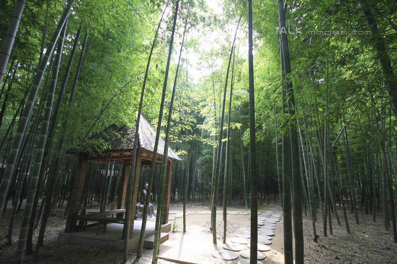 无人,家,横图,室外,白天,正面,旅游,度假,纯洁,美景,树林,植物,竹子,中国,亚洲,阴影,光线,影子,房屋,屋子,草屋,景观,竹林,地面,娱乐,山东,住宅,树,树木,绿色,天空,阳光,自然,茅草屋,天,享受,休闲,景色,放松,生长,成长,高雅,自然风光,东亚,山东省,日照,中华人民共和国,华东地区,奉献,鲁,质朴,正直,日照市,担当,竹,彩图,房子,茅舍,茅屋,小屋,奋进,操守,四君子,岁寒三友,性坚,虚怀,虚心,竹洞天风景区,善群,卓尔,rzwdb1