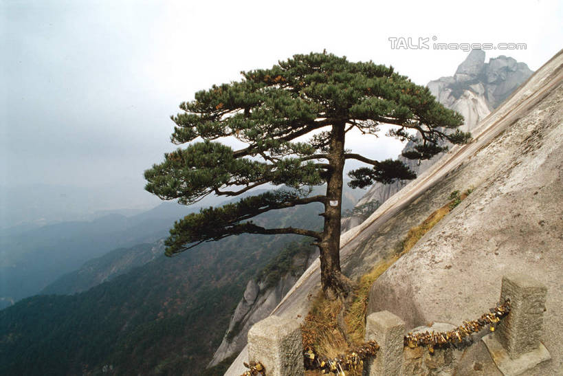 无人,竖图,室外,白天,正面,旅游,度假,石头,美景,山,山脉,植物,雾,天柱山,中国,亚洲,朦胧,模糊,石子,景观,山峰,山峦,娱乐,树,树木,绿色,自然,群山,享受,休闲,景色,放松,生长,成长,迷雾,自然风光,东亚,安徽,安徽省,安庆,安庆市,中华人民共和国,华东地区,皖,石块,岩石,大雾,彩图,古皖国,潜山县,皖山,shcm1