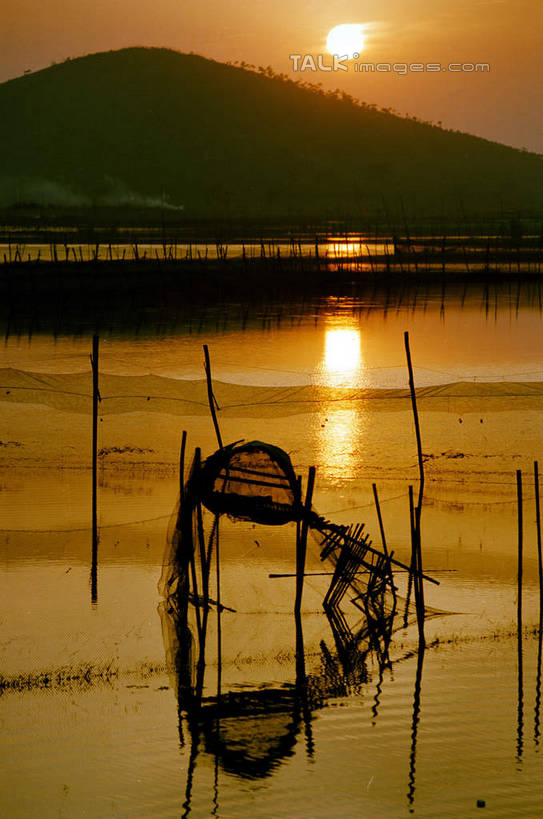 无人,竖图,室外,白天,正面,旅游,度假,湖,湖泊,美景,水,芦苇,叶子,太湖,中国,亚洲,波纹,湖面,景观,水流,水面,粽叶,绿叶,涟漪,背光,娱乐,江苏,无锡,浙江,古镇,浙江省,倒影,水纹,自然,波浪,湖水,享受,休闲,嫩叶,景色,放松,倒映,自然风光,逆光,东亚,江苏省,西塘,中华人民共和国,华东地区,苏,水晕,浙,箬叶,芦苇叶,嘉兴,嘉兴市,无锡市,反照,西塘古镇,西塘镇,叶,叶片,彩图,shcm1