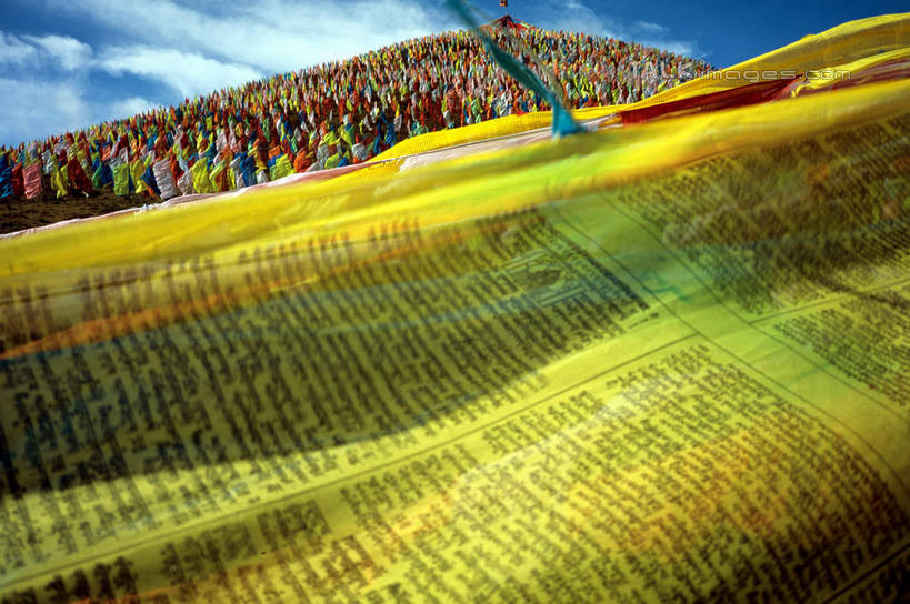 无人,横图,室外,白天,仰视,旅游,度假,石头,美景,山,山脉,植物,旗帜,中国,亚洲,阴影,枯萎,光线,石子,影子,景观,山峰,云,云朵,枯草,山峦,云彩,娱乐,旗子,经幡,草,黄色,蓝色,白云,蓝天,天空,阳光,自然,群山,天,享受,休闲,景色,放松,晴朗,自然风光,东亚,青海,青海省,久治县,风马旗,中华人民共和国,旌旗,旗号,西北地区,青,果洛,果洛州,果洛藏族自治州,石块,岩石,晴空,彩图,低角度拍摄,shcm1