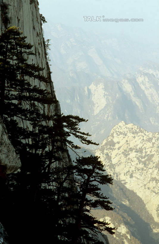 无人,竖图,室外,白天,正面,旅游,度假,华山,石头,美景,山,山脉,植物,中国,亚洲,阴影,光线,石子,影子,景观,山峰,悬崖,山峦,娱乐,树,树木,绿色,阳光,自然,群山,享受,休闲,景色,放松,生长,成长,自然风光,东亚,陕西,陕西省,中华人民共和国,绝壁,西北地区,陕,渭南,渭南市,奇险天下第一山,西岳,西岳华山,石块,岩石,彩图,五岳之一,shcm1