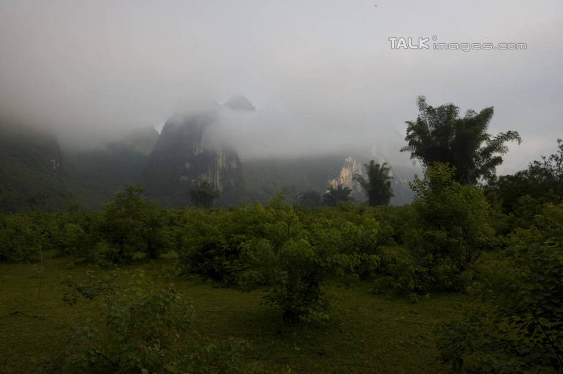 无人,横图,室外,白天,正面,旅游,度假,草地,草坪,美景,山,山脉,树林,植物,雾,桂林,中国,亚洲,朦胧,模糊,景观,山峰,山峦,娱乐,草,树,树木,绿色,自然,群山,享受,休闲,景色,放松,生长,成长,广西,迷雾,自然风光,东亚,漓江,阳朔,广西壮族自治区,中华人民共和国,桂林市,桂,华南地区,阳朔县,大雾,彩图,shgzq1