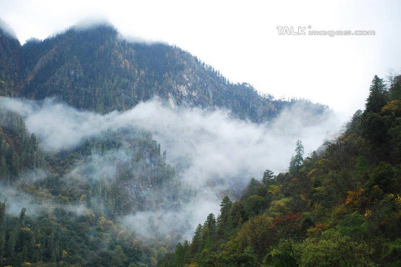 无人,横图,室外,白天,正面,旅游,度假,美景,森林,山,山脉,树林,植物,雾,中国,亚洲,朦胧,模糊,景观,山顶,山峰,山峦,娱乐,波密,西藏,树,树木,绿色,自然,群山,享受,休闲,景色,放松,生长,成长,迷雾,自然风光,藏,东亚,西藏自治区,中华人民共和国,西南地区,颠峰,极峰,大雾,彩图,波密县,shqxy1
