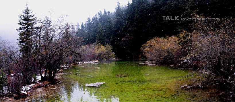 无人,横图,室外,白天,正面,旅游,度假,草地,草坪,湖,湖泊,美景,山,树林,水,雪,植物,大雪,叶子,中国,亚洲,阴影,光线,影子,湖面,积雪,景观,山峰,水流,水面,雪花,雪景,冬天,下雪,山峦,娱乐,草,树,树木,蓝色,绿色,蓝天,天空,阳光,自然,湖水,天,享受,休闲,景色,放松,四川省,生长,成长,自然风光,东亚,四川,阿坝,中华人民共和国,西南地区,阿坝藏族羌族自治州,阿坝州,川,黄龙风景名胜区,黄龙风景区,松潘县,叶,叶片,彩图,shsgf1