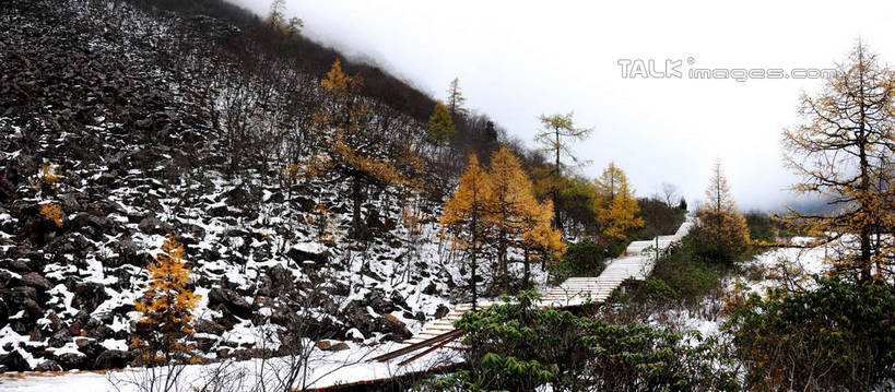 无人,横图,室外,白天,正面,旅游,度假,草地,草坪,美景,山,树林,雪,植物,雾,大雪,叶子,中国,亚洲,阴影,朦胧,模糊,光线,影子,阶梯,积雪,景观,山峰,雪景,冬天,山峦,娱乐,台阶,草,树,树木,树叶,蓝色,绿色,蓝天,天空,阳光,自然,天,享受,休闲,景色,放松,四川省,生长,成长,迷雾,自然风光,东亚,四川,阿坝,中华人民共和国,西南地区,阿坝藏族羌族自治州,阿坝州,川,黄龙风景名胜区,黄龙风景区,松潘县,叶,叶片,大雾,彩图,shsgf1