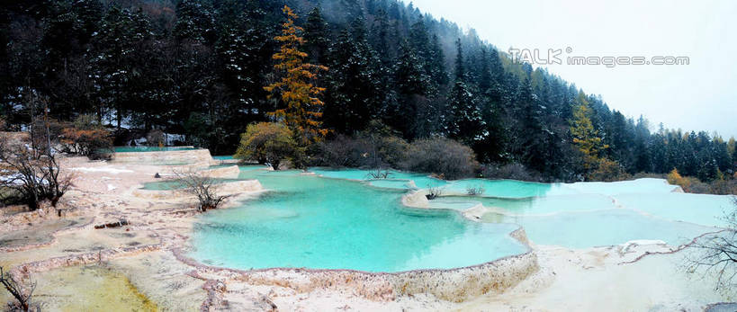 无人,横图,室外,白天,正面,旅游,度假,草地,草坪,湖,湖泊,美景,山,树林,水,植物,叶子,中国,亚洲,阴影,光线,影子,湖面,景观,山峰,水流,水面,地面,山峦,娱乐,草,树,树木,蓝色,绿色,蓝天,天空,阳光,自然,湖水,天,享受,休闲,景色,放松,四川省,生长,成长,自然风光,东亚,四川,阿坝,中华人民共和国,西南地区,阿坝藏族羌族自治州,阿坝州,川,黄龙风景名胜区,黄龙风景区,松潘县,五彩池,叶,叶片,彩图,shsgf1