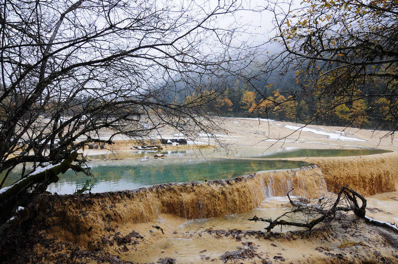 无人,横图,室外,白天,正面,旅游,度假,草地,草坪,湖,湖泊,美景,山,树林,水,雪,植物,雾,大雪,叶子,中国,亚洲,阴影,飞溅,朦胧,模糊,干枯,溅,反射,液体,影子,湖面,积雪,景观,山峰,水滴,水流,水面,雪景,冬天,枯树,枯枝,山峦,娱乐,水珠,草,树,树木,树枝,绿色,倒影,天空,自然,湖水,天,享受,休闲,景色,放松,寒冷,四川省,生长,成长,迷雾,喷洒,自然风光,东亚,四川,阿坝,中华人民共和国,西南地区,严寒,阿坝藏族羌族自治州,阿坝州,川,黄龙风景名胜区,黄龙风景区,松潘县,叶,叶片,跌水,彩图,shsgf1