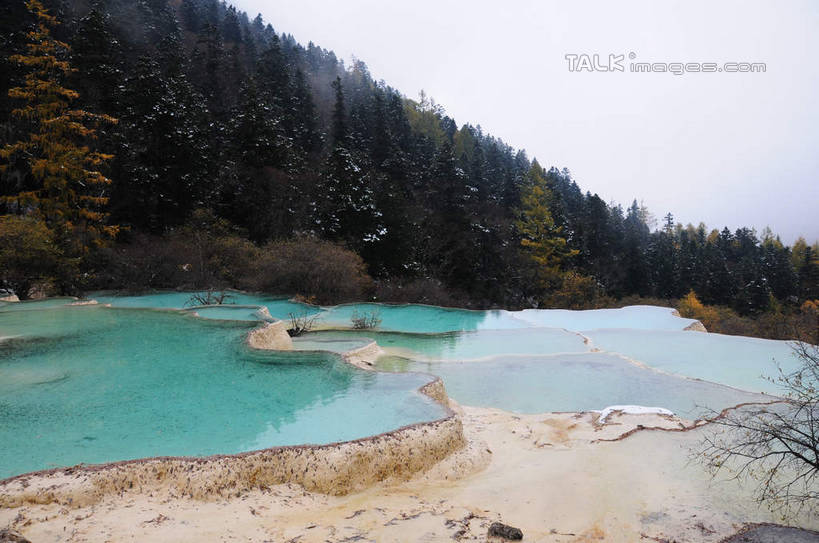 无人,横图,俯视,室外,白天,旅游,度假,草地,草坪,湖,湖泊,美景,山,树林,水,雪,植物,雾,大雪,叶子,中国,亚洲,阴影,朦胧,模糊,反射,影子,湖面,积雪,景观,山峰,水流,水面,雪景,冬天,山峦,娱乐,草,树,树木,绿色,倒影,天空,自然,湖水,天,享受,休闲,景色,放松,寒冷,四川省,生长,成长,迷雾,自然风光,东亚,四川,阿坝,中华人民共和国,西南地区,严寒,阿坝藏族羌族自治州,阿坝州,川,黄龙风景名胜区,黄龙风景区,松潘县,叶,叶片,彩图,高角度拍摄,shsgf1