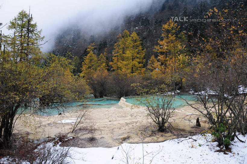 无人,横图,俯视,室外,白天,旅游,度假,草地,草坪,湖,湖泊,美景,山,树林,水,雪,植物,雾,大雪,叶子,中国,亚洲,阴影,朦胧,模糊,干枯,反射,影子,湖面,积雪,景观,山峰,水流,水面,雪景,冬天,枯树,枯枝,山峦,娱乐,草,树,树木,树枝,绿色,倒影,天空,自然,湖水,天,享受,休闲,景色,放松,寒冷,四川省,生长,成长,迷雾,自然风光,东亚,四川,阿坝,中华人民共和国,西南地区,严寒,阿坝藏族羌族自治州,阿坝州,川,黄龙风景名胜区,黄龙风景区,松潘县,叶,叶片,彩图,高角度拍摄,shsgf1