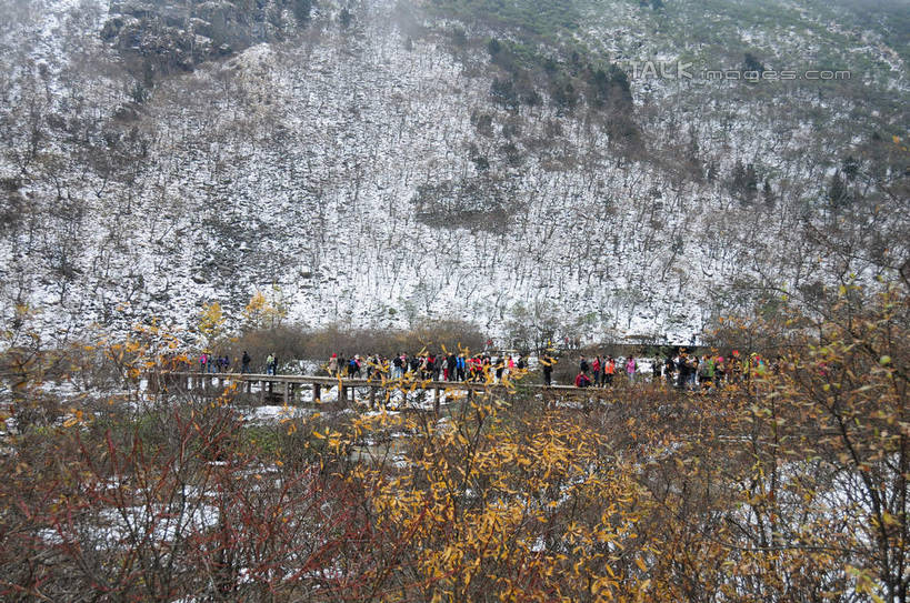 东方人,走,横图,室外,白天,正面,旅游,度假,草地,草坪,美景,山,树林,雪,植物,大雪,叶子,中国,亚洲,游客,游人,积雪,景观,山峰,雪景,冬天,桥,山峦,许多人,黄种人,娱乐,石桥,旅客,草,树,树木,绿色,自然,一群人,享受,休闲,景色,放松,四川省,生长,成长,人行桥,自然风光,东亚,四川,阿坝,中华人民共和国,西南地区,阿坝藏族羌族自治州,阿坝州,川,黄龙风景名胜区,黄龙风景区,松潘县,男人,男性,年轻男性,年轻女性,女人,女性,亚洲人,叶,叶片,步行,散步,走路,彩图,全身,shsgf1