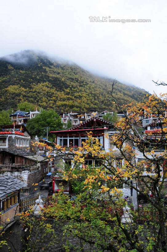 无人,家,竖图,室外,白天,正面,旅游,度假,草地,草坪,美景,山,山脉,树林,植物,雾,叶子,中国,亚洲,许多,朦胧,模糊,房屋,屋子,景观,山峰,山峦,娱乐,楼房,住宅,草,树,树木,绿色,天空,自然,群山,天,享受,休闲,景色,放松,四川省,生长,成长,迷雾,自然风光,东亚,四川,阿坝,中华人民共和国,西南地区,阿坝藏族羌族自治州,阿坝州,川,理县,米亚罗,米亚罗风景区,叶,叶片,彩图,房子,shsgf1