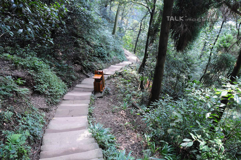 无人,横图,俯视,室外,白天,旅游,度假,草地,草坪,美景,山,树林,植物,道路,路,都江堰,青城山,中国,亚洲,阴影,光线,影子,景观,山峰,小路,垃圾桶,交通,山峦,娱乐,石板路,草,树,树木,绿色,阳光,自然,享受,休闲,景色,放松,四川省,生长,成长,自然风光,东亚,四川,中华人民共和国,西南地区,川,都江堰风景区,都江堰市,彩图,高角度拍摄,shsgf1