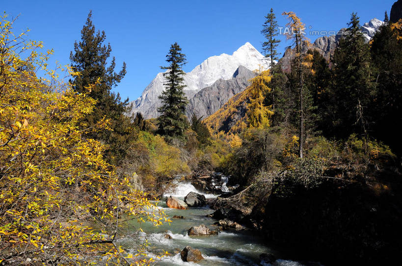 无人,横图,室外,白天,正面,旅游,度假,草地,草坪,河流,石头,美景,山,树林,水,雪,雪山,植物,大雪,中国,亚洲,阴影,光线,石子,影子,河水,积雪,景观,山峰,水流,雪景,冬天,山峦,娱乐,草,树,树木,蓝色,绿色,蓝天,天空,阳光,自然,天,享受,休闲,景色,放松,四川省,生长,成长,自然风光,东亚,四川,阿坝,中华人民共和国,西南地区,阿坝藏族羌族自治州,阿坝州,长坪沟,川,四姑娘山,石块,岩石,彩图,shsgf1