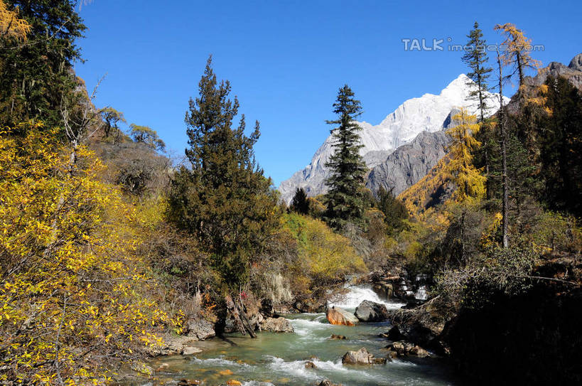 无人,横图,室外,白天,正面,旅游,度假,草地,草坪,河流,石头,美景,山,树林,水,雪,雪山,植物,大雪,中国,亚洲,阴影,光线,石子,影子,河水,积雪,景观,山峰,水流,雪景,冬天,山峦,娱乐,草,树,树木,蓝色,绿色,蓝天,天空,阳光,自然,天,享受,休闲,景色,放松,四川省,生长,成长,自然风光,东亚,四川,阿坝,中华人民共和国,西南地区,阿坝藏族羌族自治州,阿坝州,长坪沟,川,四姑娘山,石块,岩石,彩图,shsgf1