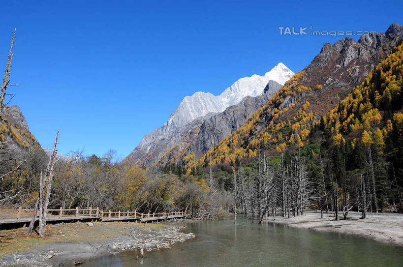 无人,栏杆,横图,室外,白天,正面,旅游,度假,草地,草坪,河流,美景,山,树林,水,雪,雪山,植物,大雪,中国,亚洲,阴影,光线,影子,河水,积雪,景观,山峰,水流,雪景,冬天,围栏,山峦,娱乐,护栏,草,树,树干,树木,蓝色,绿色,蓝天,天空,阳光,自然,天,享受,休闲,景色,放松,四川省,生长,成长,自然风光,东亚,四川,阿坝,中华人民共和国,西南地区,阿坝藏族羌族自治州,阿坝州,长坪沟,川,四姑娘山,彩图,shsgf1
