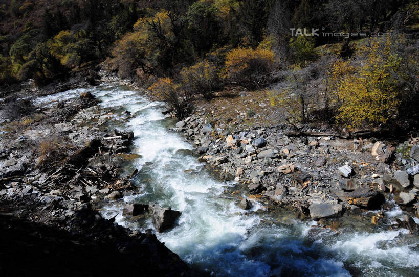无人,横图,俯视,室外,白天,旅游,度假,草地,草坪,河流,石头,美景,山,树林,水,雪,雪山,植物,大雪,中国,亚洲,许多,阴影,散落,光线,石子,影子,河水,积雪,景观,山峰,水花,水流,雪景,冬天,山峦,娱乐,草,树,树木,绿色,阳光,自然,享受,休闲,景色,放松,四川省,生长,成长,自然风光,东亚,四川,阿坝,中华人民共和国,西南地区,阿坝藏族羌族自治州,阿坝州,长坪沟,川,四姑娘山,石块,岩石,彩图,高角度拍摄,shsgf1
