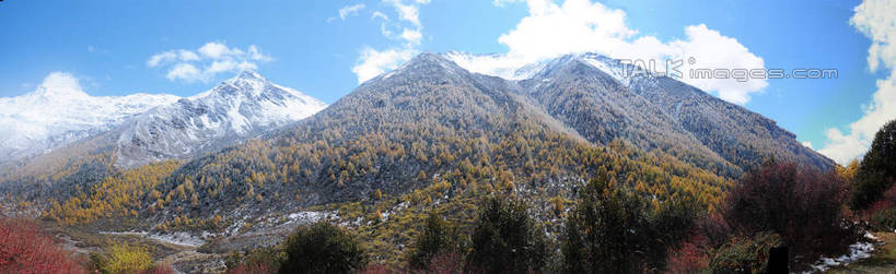 无人,横图,室外,白天,正面,旅游,度假,草地,草坪,美景,山,树林,雪,雪山,植物,大雪,中国,亚洲,阴影,光线,影子,积雪,景观,山峰,雪景,云,云朵,冬天,山峦,云彩,娱乐,草,树,树木,蓝色,绿色,白云,蓝天,天空,阳光,自然,天,享受,休闲,景色,放松,四川省,生长,成长,自然风光,东亚,四川,阿坝,中华人民共和国,西南地区,阿坝藏族羌族自治州,阿坝州,川,海子沟,四姑娘山,彩图,shsgf1