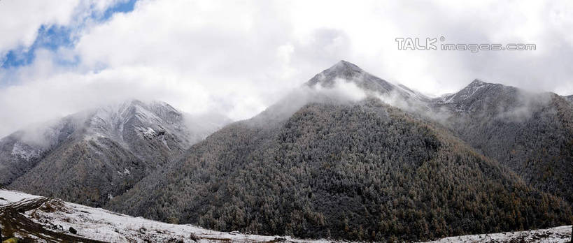 无人,横图,俯视,室外,白天,旅游,度假,草地,草坪,美景,山,树林,雪,雪山,植物,雾,大雪,中国,亚洲,阴影,朦胧,模糊,光线,影子,积雪,景观,山峰,雪景,云,云朵,冬天,山峦,云彩,娱乐,草,树,树木,蓝色,绿色,白云,蓝天,天空,阳光,自然,天,享受,休闲,景色,放松,四川省,生长,成长,迷雾,自然风光,东亚,四川,阿坝,中华人民共和国,西南地区,阿坝藏族羌族自治州,阿坝州,川,海子沟,四姑娘山,大雾,彩图,高角度拍摄,shsgf1