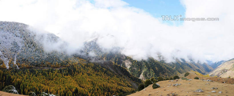 无人,横图,室外,白天,正面,旅游,度假,草地,草坪,美景,山,树林,雪,雪山,植物,雾,大雪,中国,亚洲,阴影,枯萎,朦胧,模糊,光线,影子,积雪,景观,山峰,山坡,雪景,云,云朵,冬天,枯草,山峦,云彩,娱乐,草,树,树木,蓝色,绿色,白云,蓝天,天空,阳光,自然,天,享受,休闲,景色,放松,四川省,生长,成长,迷雾,自然风光,东亚,四川,阿坝,中华人民共和国,西南地区,阿坝藏族羌族自治州,阿坝州,川,海子沟,四姑娘山,大雾,彩图,shsgf1