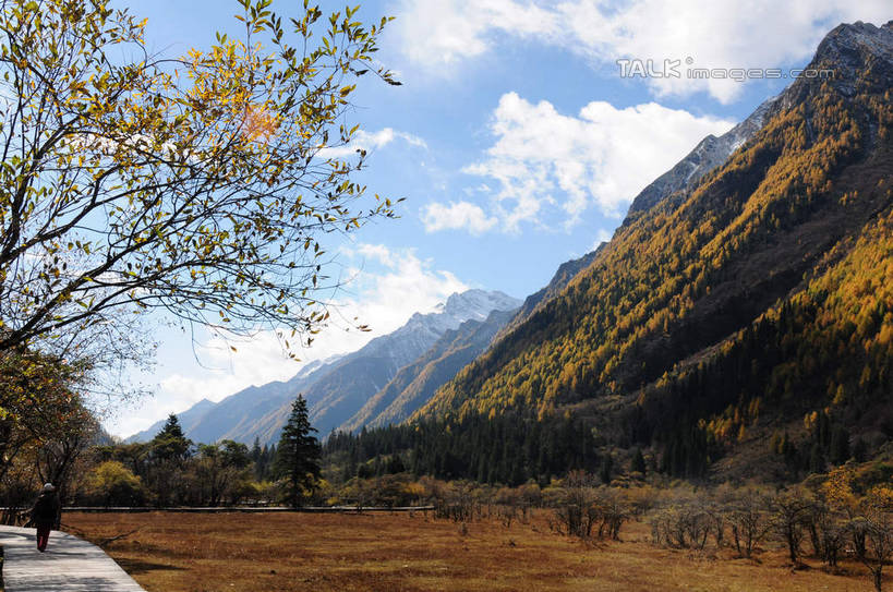 无人,横图,室外,白天,正面,旅游,度假,草地,草坪,美景,山,树林,雪,雪山,植物,大雪,中国,亚洲,阴影,枯萎,光线,影子,积雪,景观,山峰,雪景,云,云朵,冬天,枯草,山峦,云彩,娱乐,草,树,树木,蓝色,绿色,白云,蓝天,天空,阳光,自然,天,享受,休闲,景色,放松,四川省,生长,成长,自然风光,东亚,四川,阿坝,中华人民共和国,西南地区,阿坝藏族羌族自治州,阿坝州,川,双桥沟,四姑娘山,彩图,shsgf1