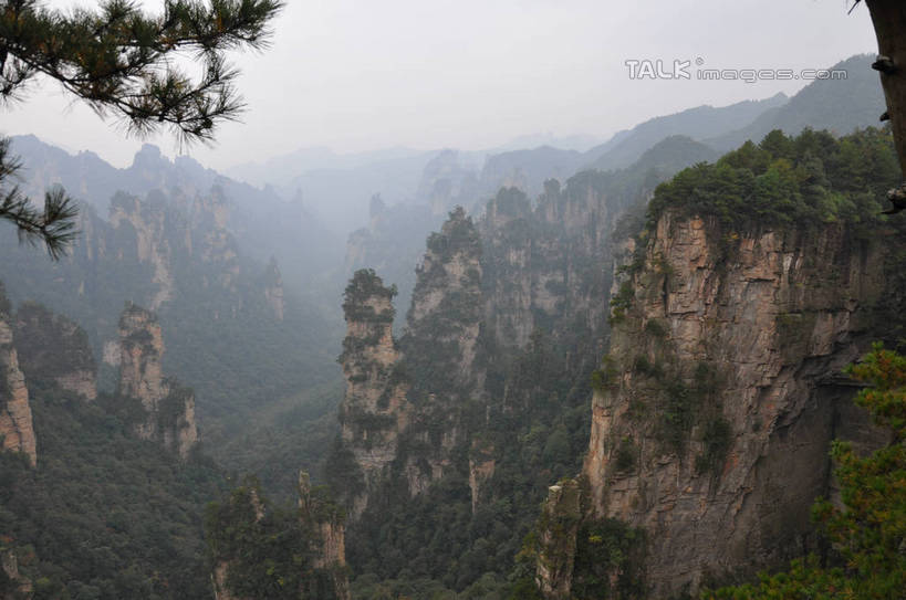 无人,横图,俯视,航拍,室外,白天,旅游,度假,美景,山,植物,松树,张家界,中国,亚洲,景观,山峰,悬崖,山峦,娱乐,树,树木,绿色,天空,自然,天,享受,休闲,景色,放松,生长,成长,鸟瞰,自然风光,坚定,东亚,湖南,湖南省,天子山,中华人民共和国,长寿,贞洁,绝壁,华中地区,湘,张家界市,武陵源区,大观台,彩图,高角度拍摄,shsgf1