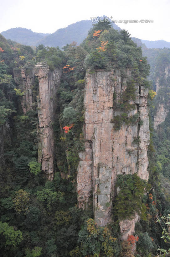 无人,竖图,俯视,室外,白天,旅游,度假,美景,山,植物,张家界,中国,亚洲,景观,山峰,悬崖,山峦,娱乐,树,树木,绿色,天空,自然,天,享受,休闲,景色,放松,生长,成长,自然风光,东亚,湖南,湖南省,天子山,中华人民共和国,绝壁,华中地区,湘,张家界市,武陵源区,大观台,彩图,高角度拍摄,shsgf1