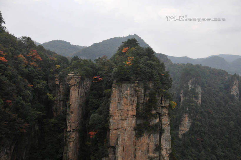 无人,横图,室外,白天,正面,旅游,度假,美景,山,植物,张家界,中国,亚洲,景观,山峰,悬崖,山峦,娱乐,树,树木,绿色,天空,自然,天,享受,休闲,景色,放松,生长,成长,自然风光,东亚,湖南,湖南省,天子山,中华人民共和国,绝壁,华中地区,湘,张家界市,武陵源区,大观台,彩图,shsgf1