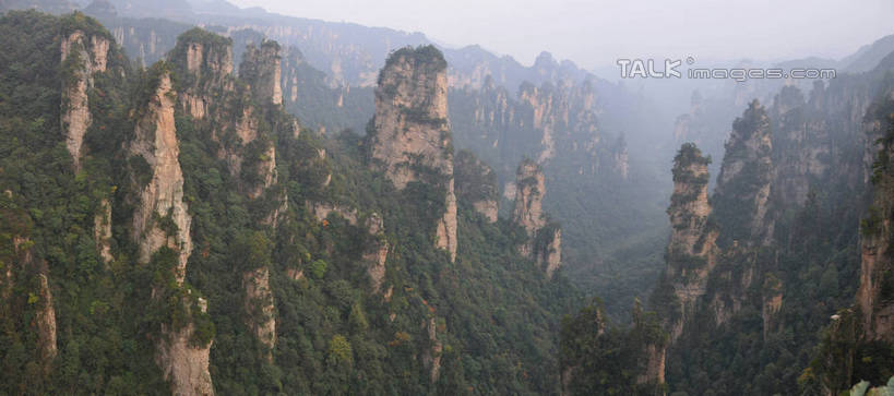 无人,横图,俯视,航拍,室外,白天,旅游,度假,美景,山,植物,张家界,中国,亚洲,景观,山峰,悬崖,山峦,娱乐,树,树木,绿色,天空,自然,天,享受,休闲,景色,放松,生长,成长,鸟瞰,自然风光,东亚,湖南,湖南省,天子山,中华人民共和国,绝壁,华中地区,湘,张家界市,武陵源区,大观台,彩图,高角度拍摄,shsgf1