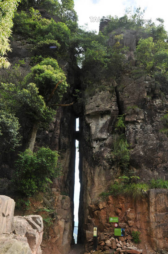 无人,竖图,室外,白天,正面,旅游,度假,石头,美景,森林,山,山脉,树林,植物,中国,亚洲,阴影,光线,石子,影子,景观,山顶,山峰,悬崖,山峦,娱乐,浙江,树,树木,浙江省,绿色,阳光,自然,群山,享受,休闲,景色,放松,生长,成长,自然风光,东亚,沉积岩,中华人民共和国,华东地区,浙,绝壁,丽水,丽水市,颠峰,极峰,水成岩,南尖岩,遂昌,石块,岩石,彩图,shsgf1