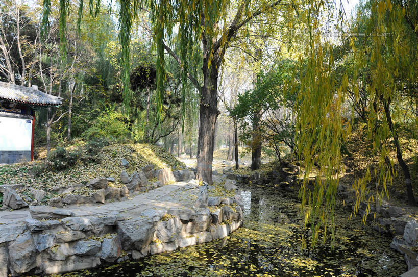 无人,公园,横图,室外,白天,正面,旅游,度假,湖,湖泊,名胜古迹,树林,水,植物,标志建筑,地标,建筑,柳树,叶子,北京,圆明园,中国,亚洲,阴影,遗迹,光线,影子,湖面,水流,水面,荷叶,首都,古迹,文物,娱乐,建设,古建筑,垂柳,树,树木,绿色,阳光,自然,湖水,享受,休闲,旅游胜地,放松,生长,成长,古文明,东亚,海淀区,中华人民共和国,北京市,京,北平,华北地区,莲叶,倒挂柳,叶,叶片,垂枝柳,彩图,圆明园遗址,圆明园遗址公园,shsgf1