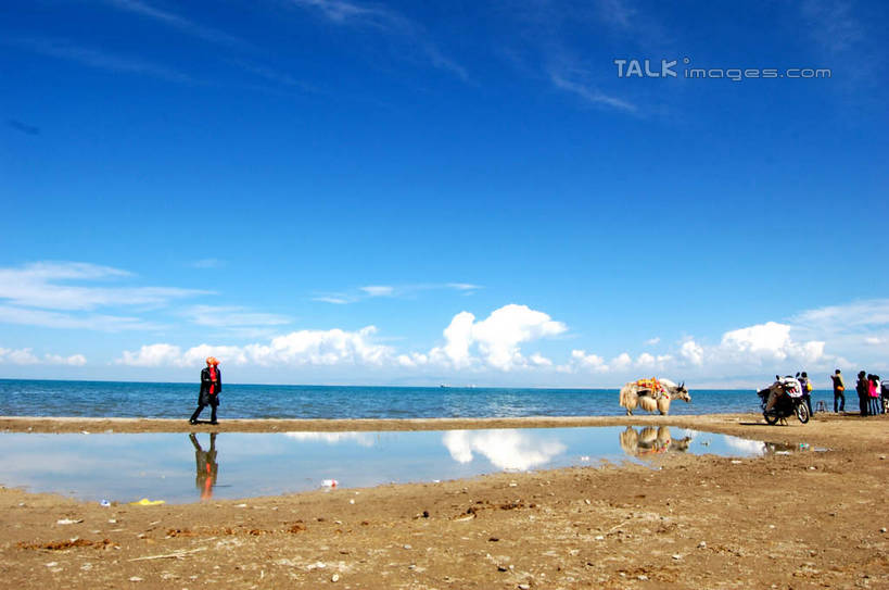 东方人,走,横图,室外,白天,正面,旅游,度假,海浪,海洋,美景,沙滩,牛,青海湖,中国,亚洲,行人,游客,游人,服装,沙子,海岸,景观,浪花,水平线,云,云朵,辽阔,海平线,沙地,许多人,云彩,休闲装,黄种人,娱乐,路人,旅客,衣服,蓝色,白云,蓝天,天空,自然,海水,动物,天,一群人,享受,休闲,广阔,休闲服,家畜,景色,放松,服饰,牲畜,晴朗,一望无际,自然风光,海景,东亚,青海,青海省,中华人民共和国,西北地区,青,无边无际,一马平川,高原之舟,天祝白牦牛,过客,咸水湖,男人,男性,年轻男性,年轻女性,女人,女性,亚洲人,大海,风浪,海,海水的波动,海滩,近岸浪,涌浪,晴空,牦牛,步行,散步,走路,半身,彩图,水天相接,水天一线,shsgf1