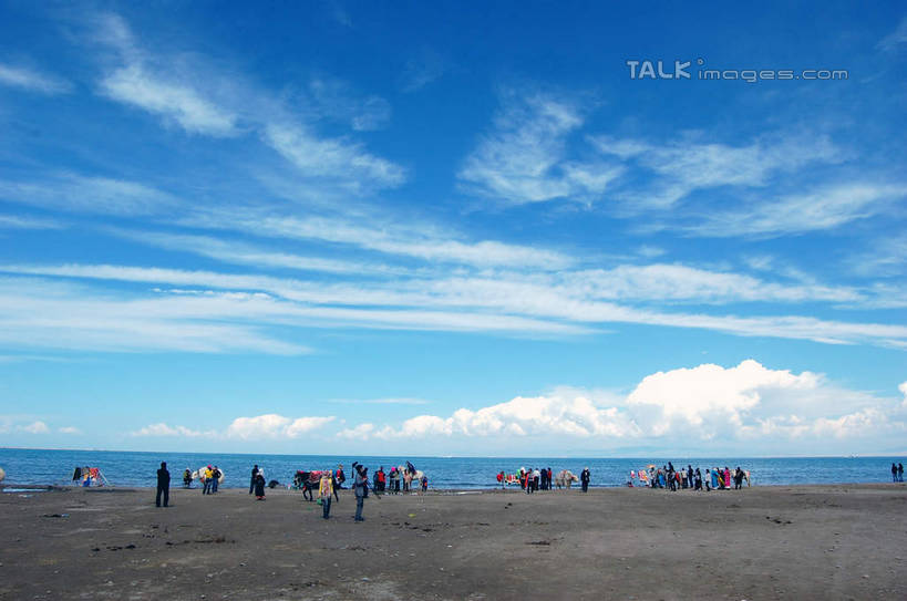 东方人,走,横图,室外,白天,正面,旅游,度假,海浪,海洋,美景,沙滩,牛,青海湖,中国,亚洲,行人,游客,游人,服装,沙子,海岸,景观,浪花,水平线,云,云朵,辽阔,海平线,沙地,许多人,云彩,休闲装,黄种人,娱乐,路人,旅客,衣服,蓝色,白云,蓝天,天空,自然,海水,动物,天,一群人,享受,休闲,广阔,休闲服,家畜,景色,放松,服饰,牲畜,晴朗,一望无际,自然风光,海景,东亚,青海,青海省,中华人民共和国,西北地区,青,无边无际,一马平川,高原之舟,天祝白牦牛,过客,咸水湖,男人,男性,年轻男性,年轻女性,女人,女性,亚洲人,大海,风浪,海,海水的波动,海滩,近岸浪,涌浪,晴空,牦牛,步行,散步,走路,彩图,全身,水天相接,水天一线,shsgf1