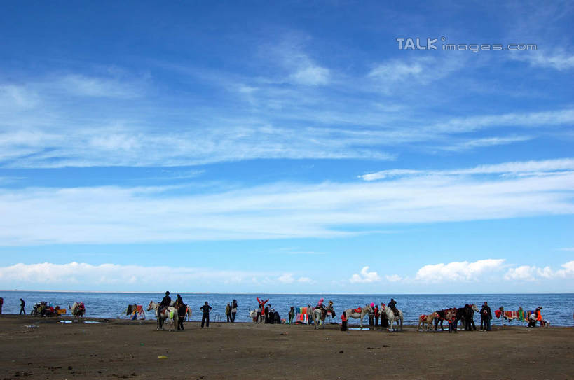 东方人,走,横图,室外,白天,正面,旅游,度假,海浪,海洋,美景,沙滩,牛,青海湖,中国,亚洲,行人,游客,游人,服装,沙子,海岸,景观,浪花,水平线,云,云朵,辽阔,海平线,沙地,许多人,云彩,休闲装,黄种人,娱乐,路人,旅客,衣服,蓝色,白云,蓝天,天空,自然,海水,动物,天,一群人,享受,休闲,广阔,休闲服,家畜,景色,放松,服饰,牲畜,晴朗,一望无际,自然风光,海景,东亚,青海,青海省,中华人民共和国,西北地区,青,无边无际,一马平川,高原之舟,天祝白牦牛,过客,咸水湖,男人,男性,年轻男性,年轻女性,女人,女性,亚洲人,大海,风浪,海,海水的波动,海滩,近岸浪,涌浪,晴空,牦牛,步行,散步,走路,彩图,全身,水天相接,水天一线,shsgf1