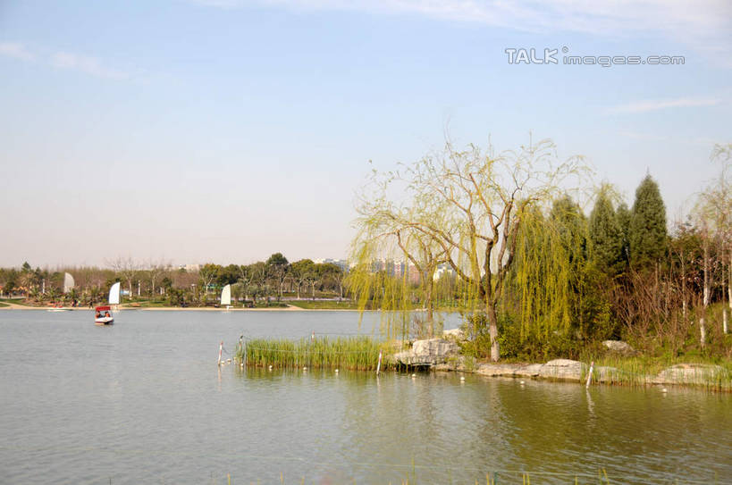 无人,公园,横图,室外,白天,正面,旅游,度假,湖,湖泊,美景,水,植物,柳树,上海,中国,亚洲,阴影,波纹,光线,影子,湖面,景观,水流,水面,云,云朵,涟漪,云彩,娱乐,垂柳,树,树木,蓝色,绿色,白云,蓝天,水纹,天空,阳光,自然,波浪,湖水,天,享受,休闲,景色,放松,生长,晴朗,成长,申,自然风光,东亚,闵行区,上海市,闵行体育公园,中华人民共和国,沪,华东地区,水晕,倒挂柳,晴空,垂枝柳,彩图,shsgf1