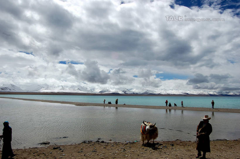 东方人,走,横图,室外,白天,正面,旅游,度假,湖,湖泊,美景,水,牛,中国,亚洲,行人,游客,游人,阴影,服装,光线,影子,湖面,景观,水流,水面,云,云朵,许多人,云彩,休闲装,黄种人,娱乐,西藏,路人,旅客,衣服,蓝色,白云,蓝天,天空,阳光,自然,动物,湖水,天,一群人,享受,休闲,休闲服,家畜,景色,放松,服饰,牲畜,晴朗,自然风光,藏,东亚,西藏自治区,纳木错,中华人民共和国,西南地区,高原之舟,天祝白牦牛,过客,咸水湖,男人,男性,年轻男性,年轻女性,女人,女性,亚洲人,晴空,牦牛,步行,散步,走路,半身,彩图,灵湖,神湖,腾格里海,天湖,shsgf1