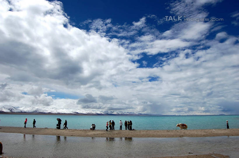 东方人,走,横图,室外,白天,正面,旅游,度假,湖,湖泊,美景,水,牛,中国,亚洲,行人,游客,游人,阴影,服装,光线,影子,湖面,景观,水流,水面,云,云朵,许多人,云彩,休闲装,黄种人,娱乐,西藏,路人,旅客,衣服,蓝色,白云,蓝天,天空,阳光,自然,动物,湖水,天,一群人,享受,休闲,休闲服,家畜,景色,放松,服饰,牲畜,晴朗,自然风光,藏,东亚,西藏自治区,纳木错,中华人民共和国,西南地区,高原之舟,天祝白牦牛,过客,咸水湖,男人,男性,年轻男性,年轻女性,女人,女性,亚洲人,晴空,牦牛,步行,散步,走路,彩图,全身,灵湖,神湖,腾格里海,天湖,shsgf1