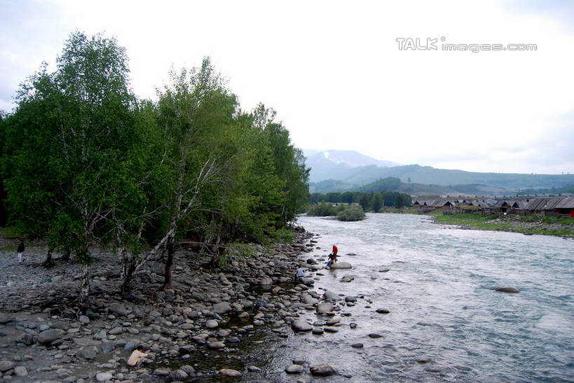 无人,横图,室外,白天,正面,旅游,度假,草地,草坪,河流,石头,美景,山,山脉,水,植物,喀纳斯,中国,亚洲,石子,河水,景观,山峰,水流,山峦,娱乐,草,树,树木,绿色,天空,自然,群山,天,享受,休闲,景色,放松,生长,成长,自然风光,东亚,喀纳斯湖,新疆,阿勒泰地区,布尔津县,伊犁,中华人民共和国,新疆维吾尔自治区,西北地区,伊犁哈萨克自治州,石块,岩石,彩图,布尔津,新,shsgf1