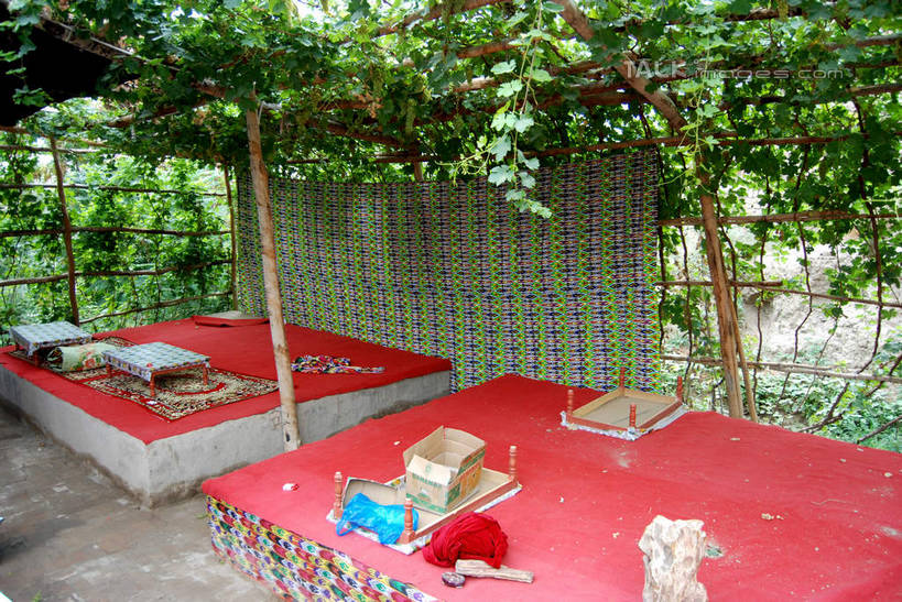 无人,栏杆,横图,室外,白天,正面,旅游,度假,美景,植物,叶子,中国,亚洲,阴影,光线,影子,栅栏,景观,篱笆,围栏,绿叶,娱乐,护栏,绿色,阳光,自然,享受,休闲,嫩叶,景色,放松,生长,成长,自然风光,东亚,吐鲁番,新疆,中华人民共和国,新疆维吾尔自治区,西北地区,叶,叶片,彩图,火洲,吐鲁番地区,新,shsgf1