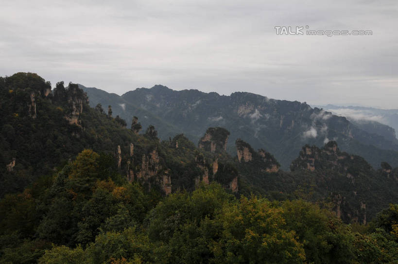 无人,横图,俯视,室外,白天,旅游,度假,草地,草坪,石头,美景,山,山脉,植物,雾,张家界,中国,亚洲,一排,许多,阴影,朦胧,模糊,整齐,光线,石子,影子,景观,山峰,山峦,很多,娱乐,草,树,树木,排列,蓝色,绿色,蓝天,天空,阳光,自然,群山,天,享受,休闲,景色,放松,生长,晴朗,成长,迷雾,队列,自然风光,东亚,湖南,湖南省,万里无云,天子山,中华人民共和国,华中地区,湘,张家界市,武陵源区,石块,岩石,大雾,晴空,晴空万里,彩图,高角度拍摄,shsgf1