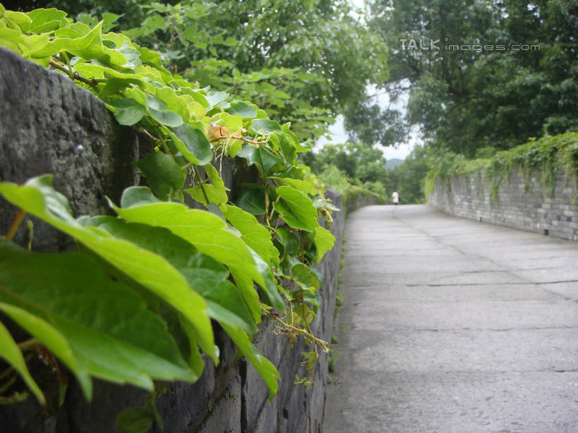 无人,横图,室外,白天,正面,旅游,度假,建材,草地,草坪,美景,树林,植物,道路,建筑,路,中国,亚洲,阴影,光线,材料,影子,砖,砖块,墙,景观,小路,青苔,苔藓,交通,娱乐,浙江,墙壁,墙面,草,树,树木,浙江省,绿色,阳光,自然,享受,休闲,砖头,景色,放松,建造,江南长城,临海,生长,成长,自然风光,东亚,中华人民共和国,华东地区,浙,台州,台州市,石料,彩图,砌墙砖,临海市,台州府城墙,shslj1