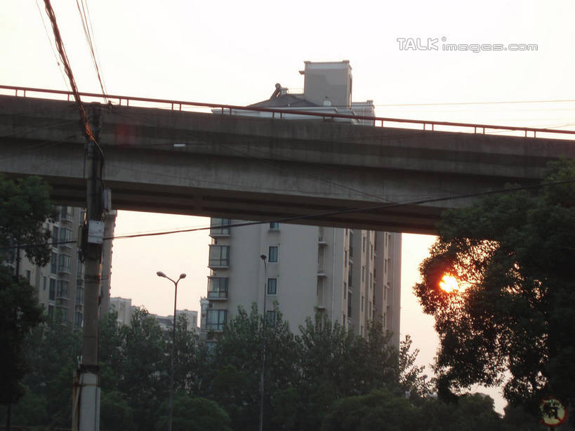 无人,高楼大厦,横图,室外,白天,仰视,度假,美景,日落,植物,城市风光,城市,大厦,道路,建筑,路,摩天大楼,公路,上海,中国,亚洲,景观,晚霞,霞光,落日,高架,交通,娱乐,建设,树,树木,绿色,自然,黄昏,享受,休闲,景色,彩霞,放松,生长,成长,申,高架桥,东亚,上海市,高架道路,跨线桥,中华人民共和国,沪,华东地区,夕照,薄暮,夕阳,彩图,低角度拍摄,傍晚,大楼,高层建筑,高楼,摩天楼,斜阳,shslj1