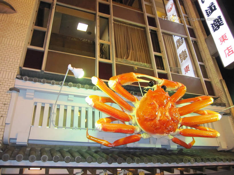 蟹,无人,餐厅,横图,室外,夜晚,仰视,度假,美景,窗户,城市风光,城市,雕塑,日本,亚洲,阴影,艺术,装饰,光线,螃蟹,雕刻,雕像,影子,景观,灯光,帝王蟹,娱乐,玻璃窗,工艺品,享受,休闲,景色,放松,纪念,美术,主题,陈列,东亚,日本国,功能,美学,皇帝蟹,甲壳动物,石蟹,彩图,低角度拍摄,全身,餐馆,饭店,饭馆,白石蟹,岩蟹,shslj1