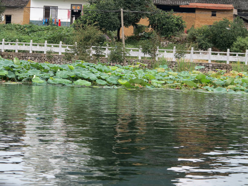无人,家,栏杆,横图,室外,白天,正面,旅游,度假,草地,草坪,河流,美景,树林,水,植物,叶子,桂林,中国,亚洲,波纹,房屋,屋子,河水,景观,水流,围栏,荷叶,涟漪,娱乐,护栏,楼房,住宅,草,树,树木,绿色,水纹,自然,波浪,享受,休闲,景色,放松,生长,成长,广西,自然风光,东亚,漓江,阳朔,广西壮族自治区,中华人民共和国,桂林市,桂,华南地区,水晕,莲叶,阳朔县,叶,叶片,彩图,房子,遇龙河,shslj1
