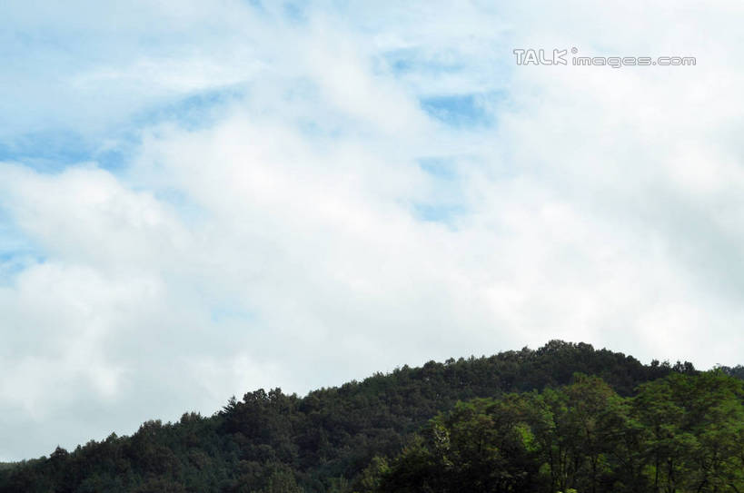 无人,横图,室外,白天,仰视,旅游,度假,美景,森林,山,山脉,树林,植物,韩国,亚洲,阴影,光线,影子,景观,山峰,云,云朵,山峦,云彩,娱乐,树,树木,蓝色,绿色,白云,蓝天,天空,阳光,自然,群山,天,享受,休闲,景色,放松,生长,晴朗,成长,自然风光,东亚,大韩民国,广域市,大田,大田市,大田广域市,忠清北道,晴空,彩图,低角度拍摄,道,shslj1,南朝鲜,南韩