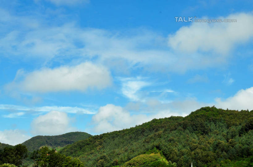 无人,横图,室外,白天,仰视,旅游,度假,美景,森林,山,山脉,树林,植物,韩国,亚洲,阴影,光线,影子,景观,山峰,云,云朵,山峦,云彩,娱乐,树,树木,蓝色,绿色,白云,蓝天,天空,阳光,自然,群山,天,享受,休闲,景色,放松,生长,晴朗,成长,自然风光,东亚,大韩民国,广域市,大田,大田市,大田广域市,忠清北道,晴空,彩图,低角度拍摄,道,shslj1,南朝鲜,南韩