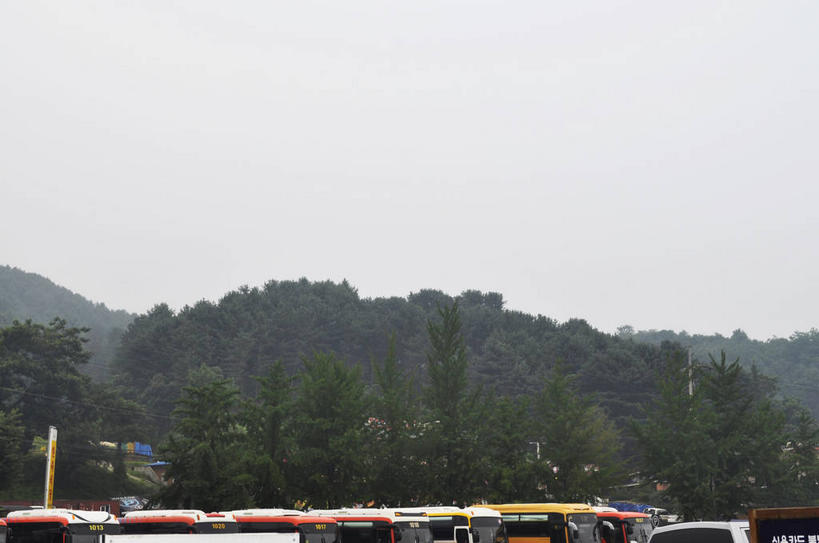 无人,停车场,横图,室外,白天,正面,旅游,度假,岛屿,美景,森林,树林,植物,公共汽车,春川,南怡岛,韩国,亚洲,一排,许多,停靠,整齐,并列,并排,岛,景观,巴士,公交车,很多,娱乐,车,树,树木,排列,绿色,天空,自然,交通工具,天,享受,休闲,景色,放松,生长,成长,队列,停泊,自然风光,载具,平行,东亚,大韩民国,江原道,春川市,列岛,群岛,诸岛,彩图,泊车场,道,shslj1