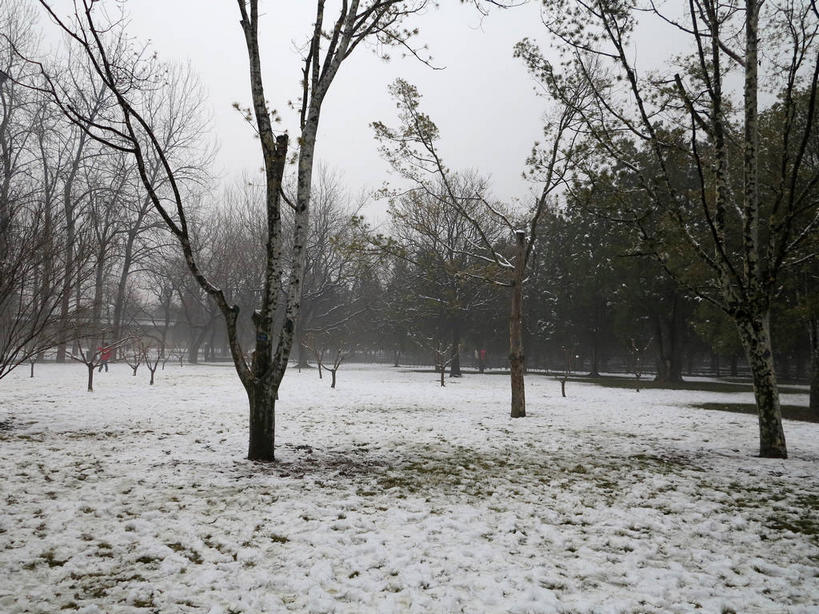 无人,天坛,横图,室外,白天,正面,旅游,度假,美景,树林,雪,植物,雾,大雪,北京,中国,亚洲,节日,朦胧,模糊,积雪,景观,乌云,雪景,云,阴天,云朵,冬季,冬天,首都,云彩,文化,娱乐,树,树木,绿色,天空,自然,天,祈祷,祈福,享受,休闲,健康,景色,放松,寒冷,许愿,宗教,信仰,生长,成长,纪念,祈求,迷雾,昏暗,阴沉,自然风光,祭天,东亚,中华人民共和国,东城区,北京市,京,北平,华北地区,天坛公园,严寒,北京天坛,平安,大雾,彩图,永定门内大街,东城,shslj1