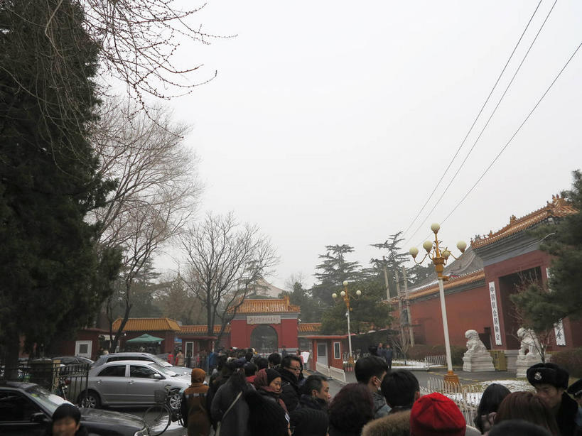 东方人,站,横图,室外,白天,仰视,旅游,度假,植物,标志建筑,道路,地标,建筑,路,公路,汽车,哺乳动物,野生动物,狮子,雕塑,北京,中国,亚洲,行人,服装,辟邪,艺术,装饰,电力,电线,雕刻,雕像,线,柱子,墙,屋顶,乌云,云,阴天,云朵,电能,交通,首都,许多人,线路,云彩,顶棚,注视,休闲装,黄种人,文化,娱乐,建设,石雕,路人,墙壁,墙面,车,树,树木,衣服,绿色,天空,自然,动物,工艺品,石狮,交通工具,轿车,天,观察,看,祈祷,站着,两只,一群人,享受,休闲,健康,休闲服,旅游胜地,放松,许愿,服饰,生长,成长,观看,纪念,电,电源,电源线,祈求,美术,察看,昏暗,阴沉,关注,载具,主题,能量,凶猛,陈列,东亚,中华人民共和国,东城区,北京市,京,北平,华北地区,功能,美学,驱邪,祛邪,避邪,守护神,过客,残暴,平安,凶残,男人,男性,年轻男性,年轻女性,女人,女性,中年男性,中年女性,亚洲人,马路,站立,半身,彩图,低角度拍摄,南池子大街,南池子,东城,shslj1,中国联合国协会,中国联协,中国人民外交学会